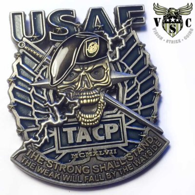 USAF TACP Tactical Air Control Party Military Coin