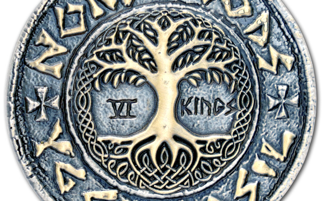 Viking Challenge Coins Raids the Northman