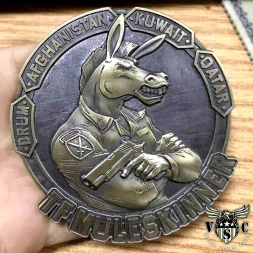 10th Mountain Sustainment Brigade Custom Coin